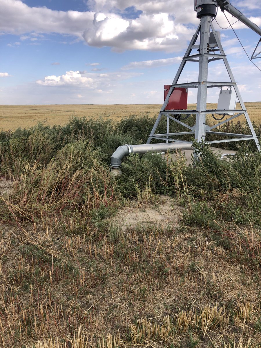 Brian Witdouck tweet media