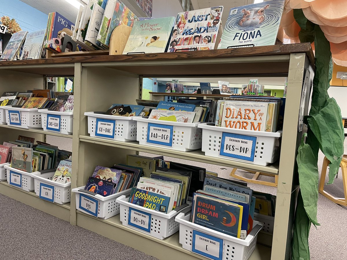 LizMHappy's tweet photo. Picture book bins and signs finally done! Yay for easier browsing! Thanks for the inspiration @BlondieReader ❤️ https://t.co/HhkLjHpxUq