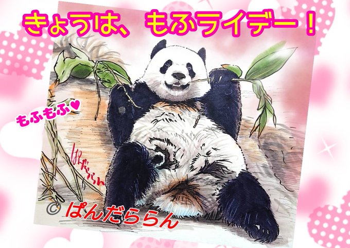 Sx4n17ecoafskm