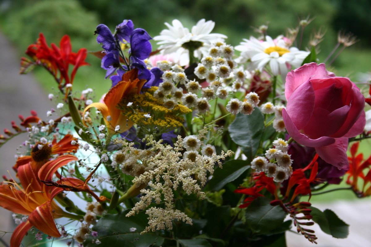 Kraeuterschule's tweet photo. Das Kräuterprogramm 2023 ist veröffentlicht. Hier informieren: https://t.co/d1pJo0RDiv

#wildpflanzen #kräuterseminar #heilpflanzenkunde #phytotherapie #hessen #weiterbildung2023 #heilkräuter #heilpflanzen #kräuterpädagogik #kräuterkurse @vogelsbergkreis @VogelsbergBlog https://t.co/ezLxwdFtgF