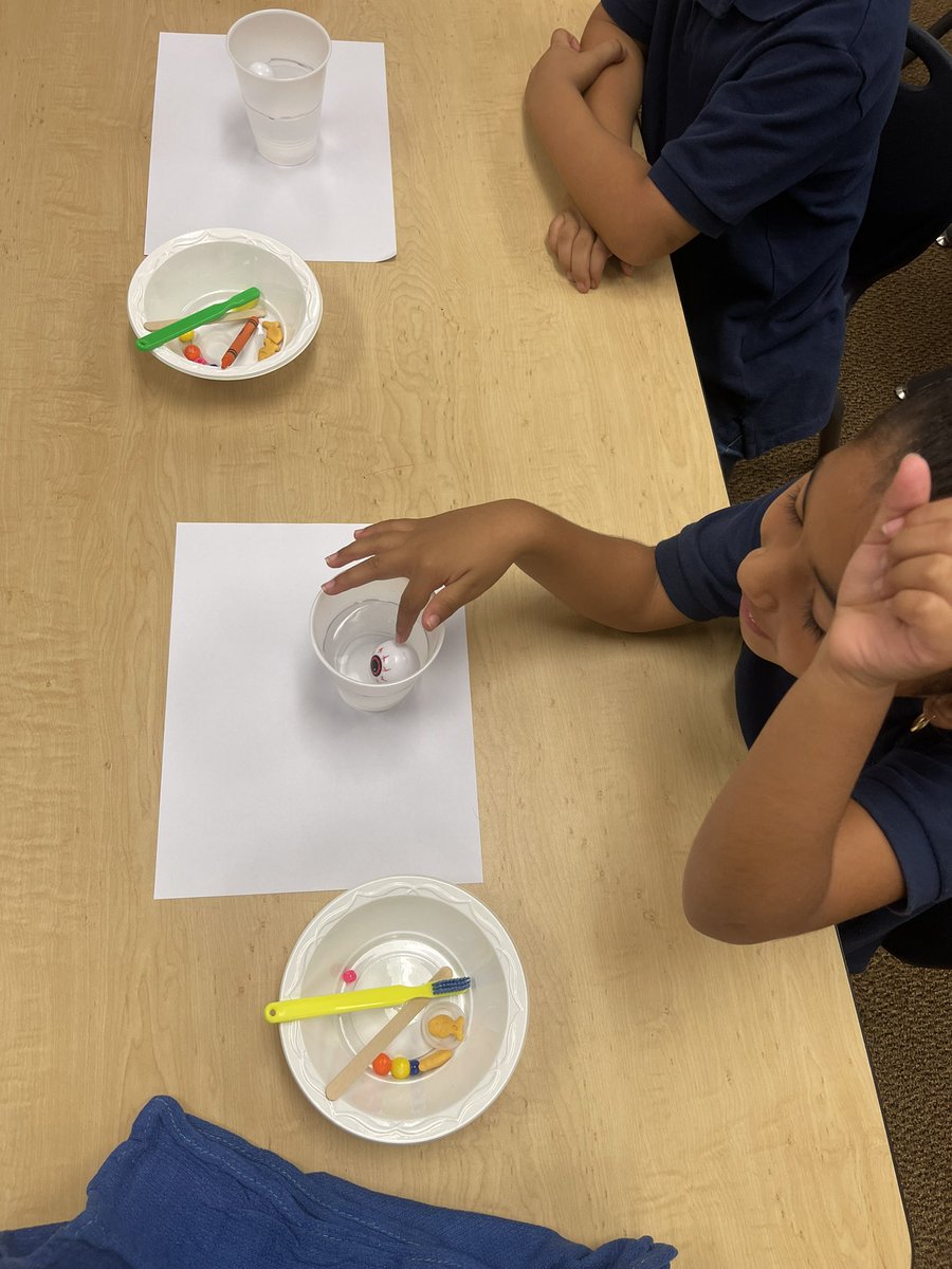 Jessica03997290's tweet photo. Another awesome, productive and active day at Oasis! #Science #VAPA #PE #vocabdevelopment #literacy https://t.co/dUXuBl3pBT
