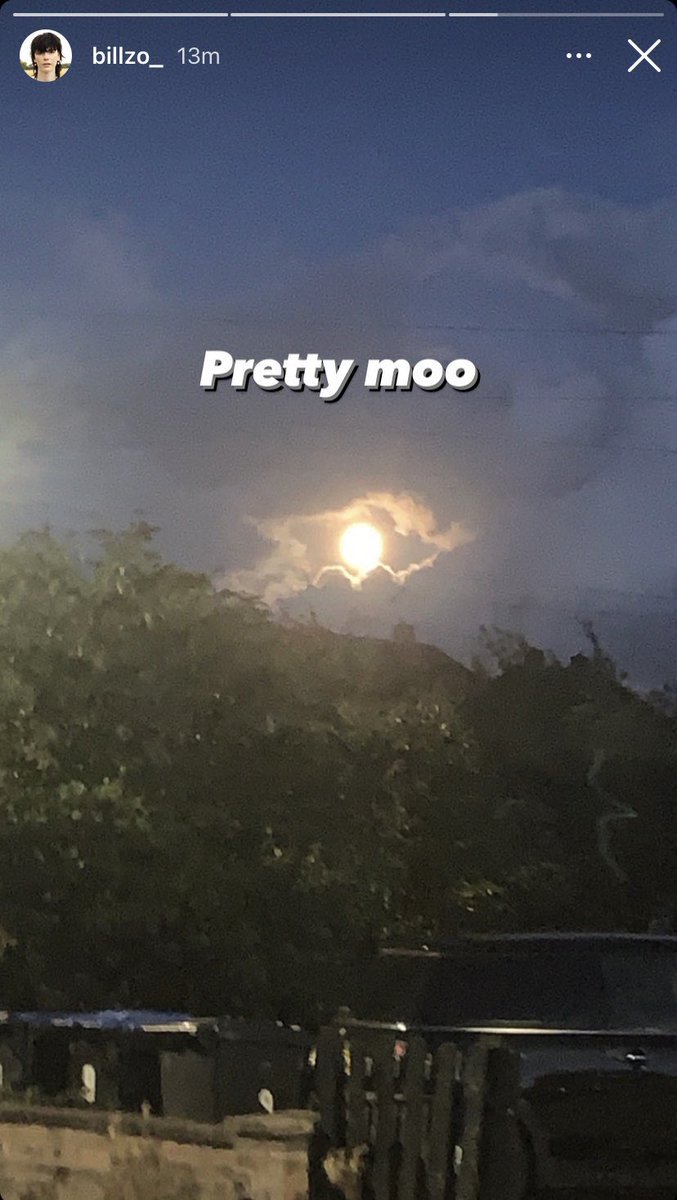 Bonesduo Updates! tweet media