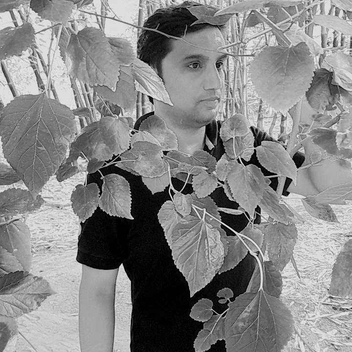 Sarfraz0000's tweet photo. #NewProfilePic https://t.co/bcn5011F6P