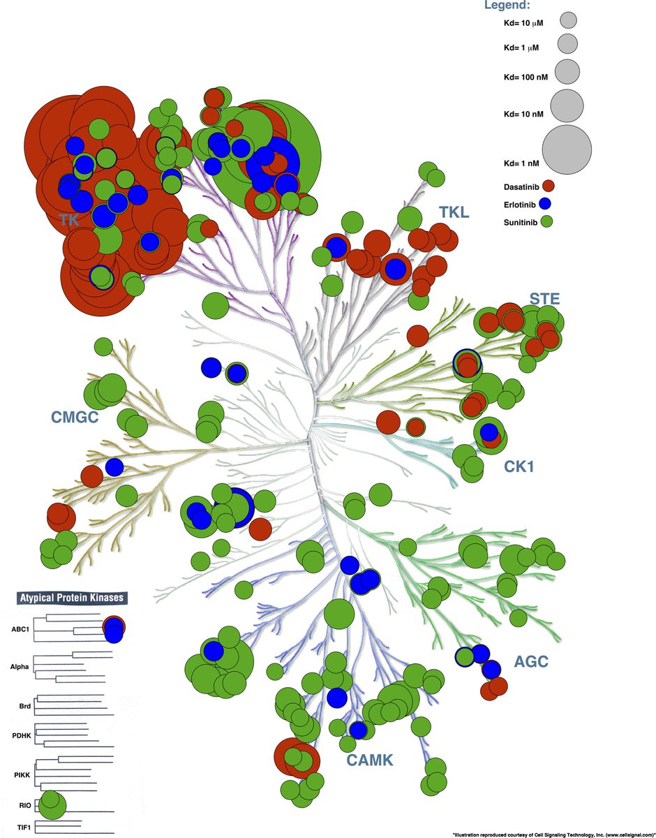 Amazing visual method for displaying complexity of tyrosine kinase inhibitors. DOI 10.7717/peerj.126
 #CICM2022ASM
