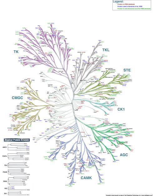 Graeme Duke tweet media