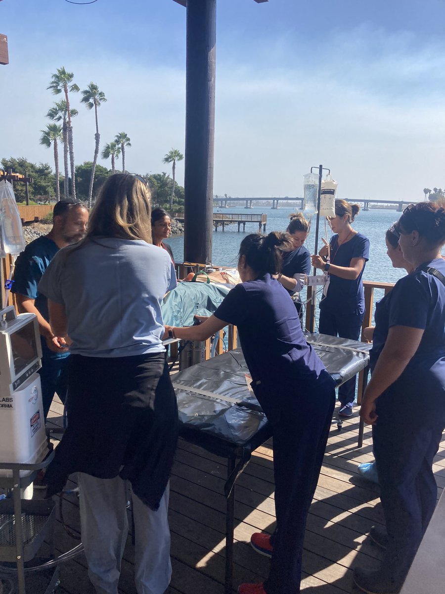 Sivagowry Rasalingam Mørk (@msivagowry) on Twitter photo In San Diego for <a href="/reanima8/">REANIMATE Conference</a>. Mind-blowing set-up! Learning everything about ECMO, ECPR, and endovascular resuscitation. Thanks to the entire crew for an amazing conference! In San Diego for <a href="/reanima8/">REANIMATE Conference</a>. Mind-blowing set-up! Learning everything about ECMO, ECPR, and endovascular resuscitation. Thanks to the entire crew for an amazing conference!