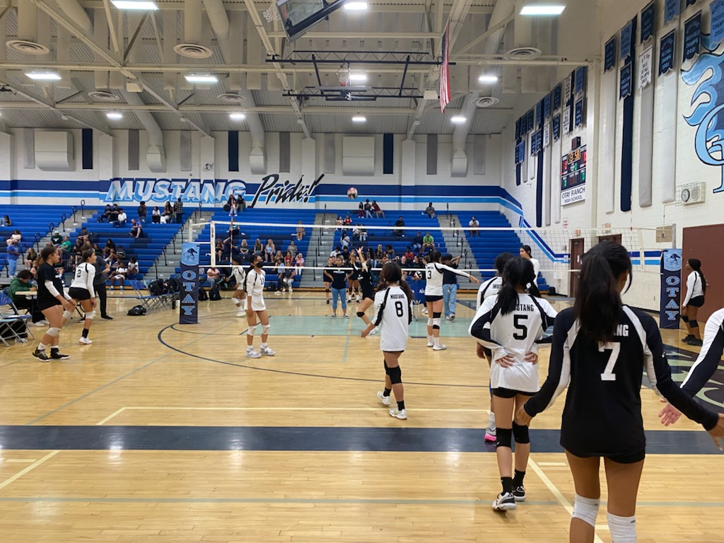 Meet me at the net.
#@ORHmustangs #GoBigBlue #MustangPride #ThisIsOtay #SUHSD #ORHS #volleyballgirls #highschool