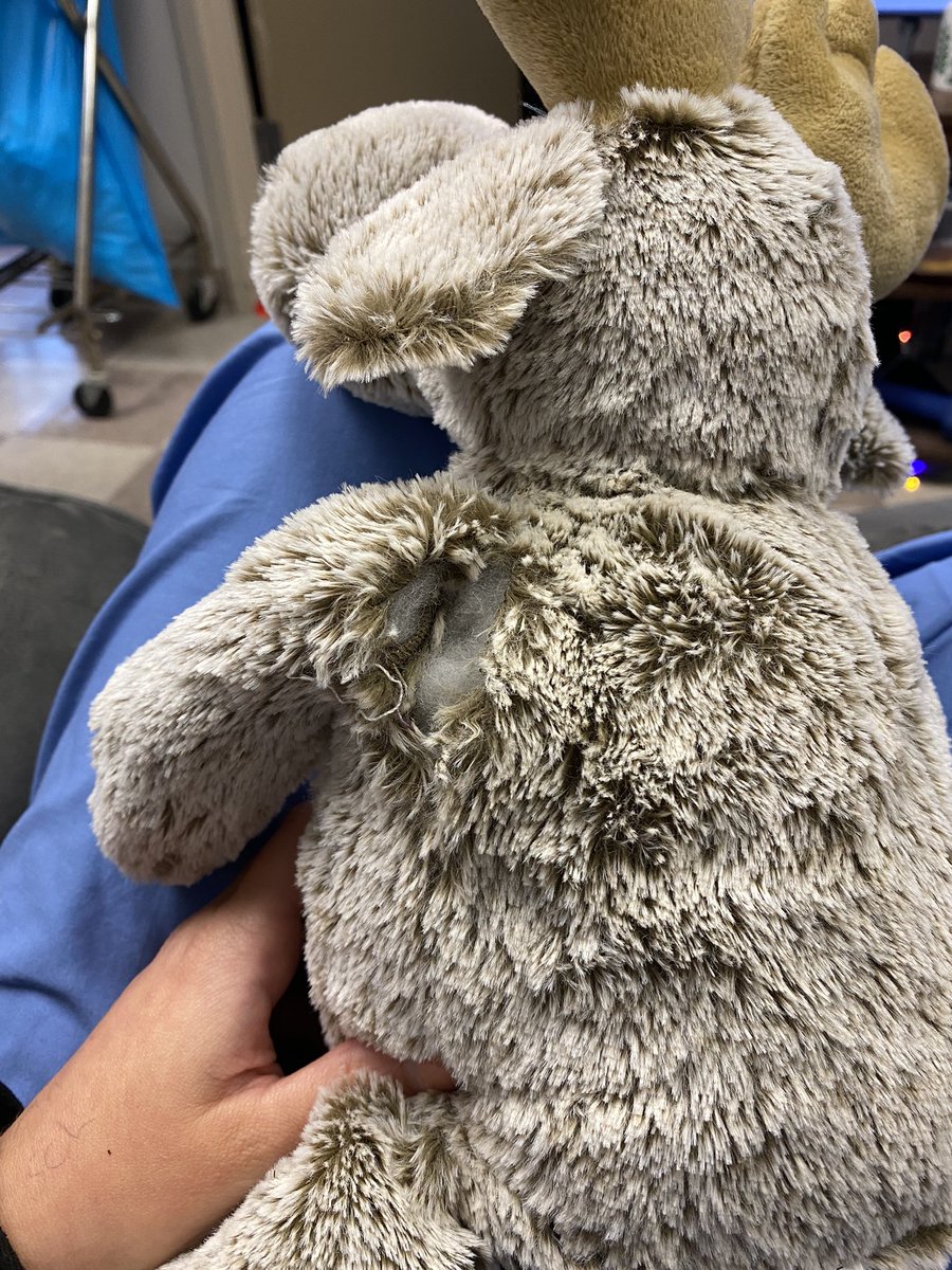 JJcolemanMD's tweet photo. First surgery of the night.

Mangled extremity, partial amputation.

Hemodynamically stable, although owner visibly upset.

Massive transfusion initiated with whole fluff, 1 unit given pre-hospital. https://t.co/sM6UpEMSX0