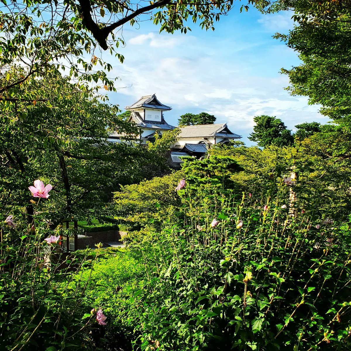 HALzzhang's tweet photo. 実に120年ぶりの猛暑37.8℃の中、訪れた #兼六園。どこを切り取っても美しい!#時雨亭 で最高に美味しい #お抹茶 を頂いた後、#金沢城 を見ながら #金箔抹茶ソフトクリーム 茹で上がりそうだった頭に涼が戻る。美味しい!夏の終わりも味わう❤️ #COCOROCO #HALzzhang https://t.co/Wtqq9gfQhv
