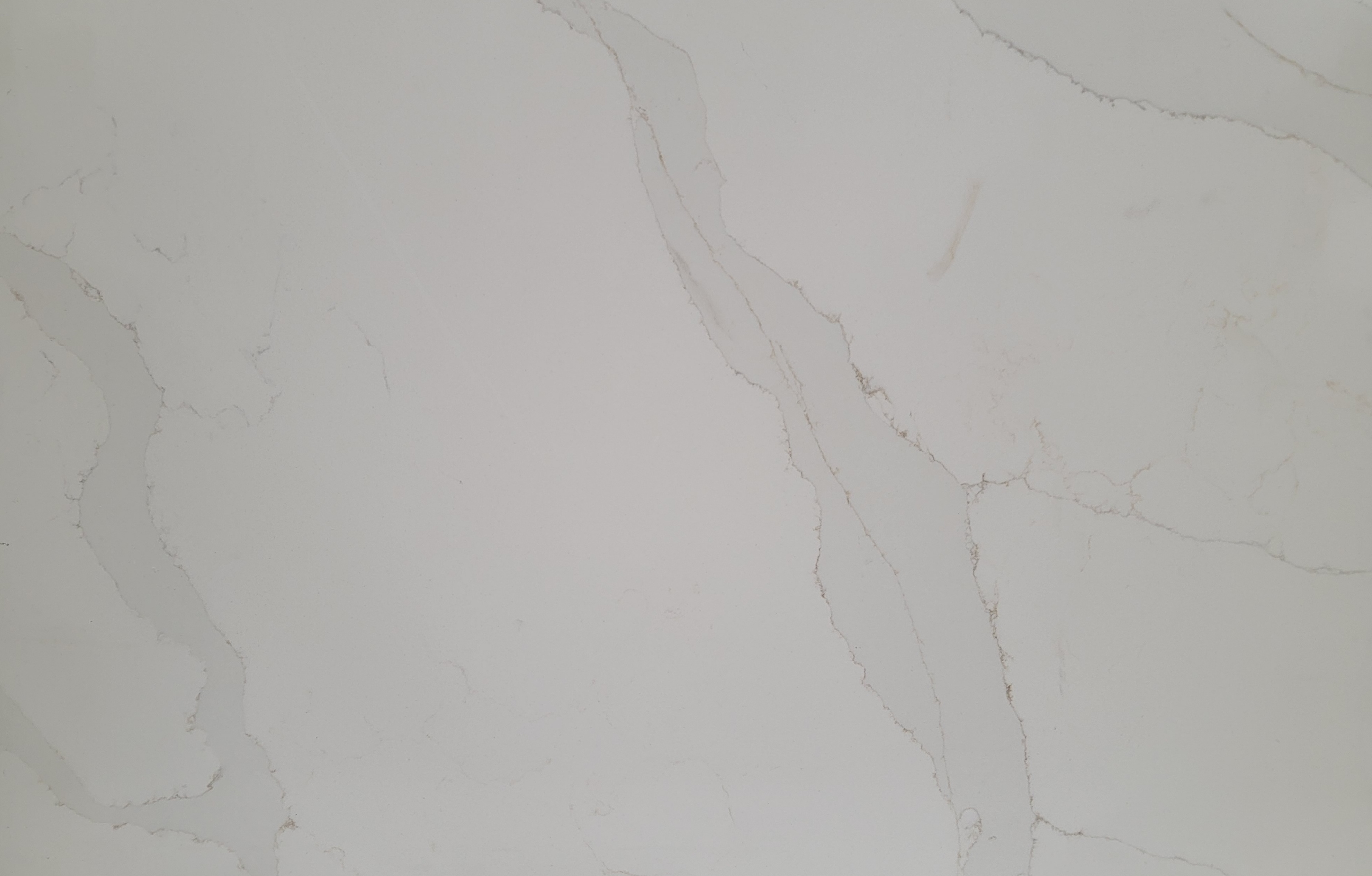 ABS Direct Tukwila (WholesaleAbs) / Twitter