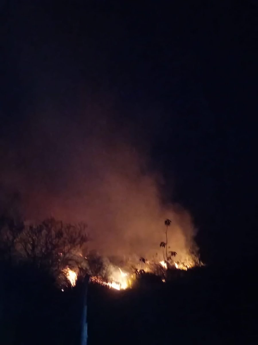 mambiente_py's tweet photo. Sigue el combate contra el fuego por parte de Bomberos Voluntarios de Luque y San Bernardino, apoyados por Guardaparques, al costado de la ruta Luque - San Bernardino. https://t.co/PFk4undAd1