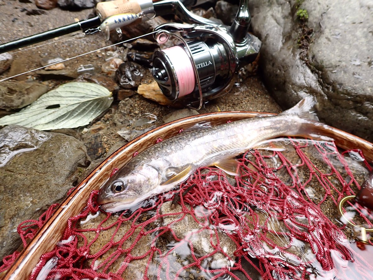 8DDPLPd09dGG31k's tweet photo. 可愛い岩魚ちゃん^_^
ヒットルアー(o^^o)
『カウントダウン3』《RAPALA》
#RAPALA
#ラパラ
#ラパラジャパン
#COUNTDOWN
#COUNTDOWN3
#カウントダウン
#カウントダウン3
#CD
#CD3
#RAP_PE_LINE https://t.co/9nmUbnip59
