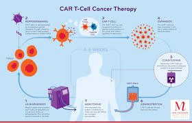 Dr Robert Weinkove: Another novel wonderful discovery for lymphoma therapy: CAR T-cell  #CICM2022ASM