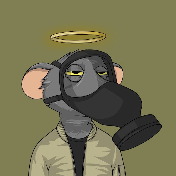 Kenny26795702's tweet photo. Need gasmask in the sewers 🐀🐀 @fatratmafia #ratfollowrat #nfts #ratfollowcheese https://t.co/gZ08jfklr0