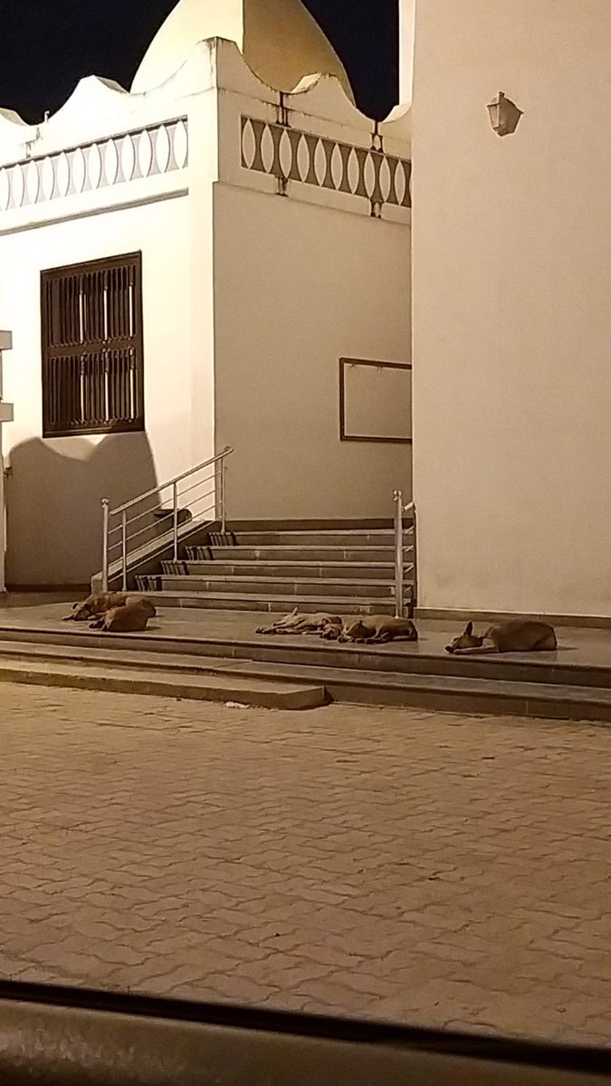 هذه الصورة من امام مدخل احد المساجد في صلالة ٩-٩-٢٠٢٢ ٣:٤٥ ص