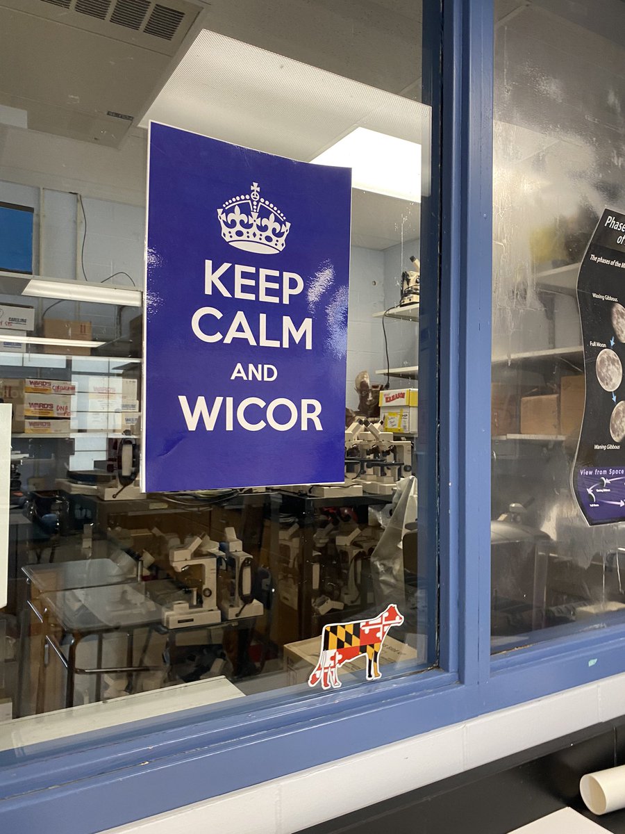 Erin Hornberger tweet media