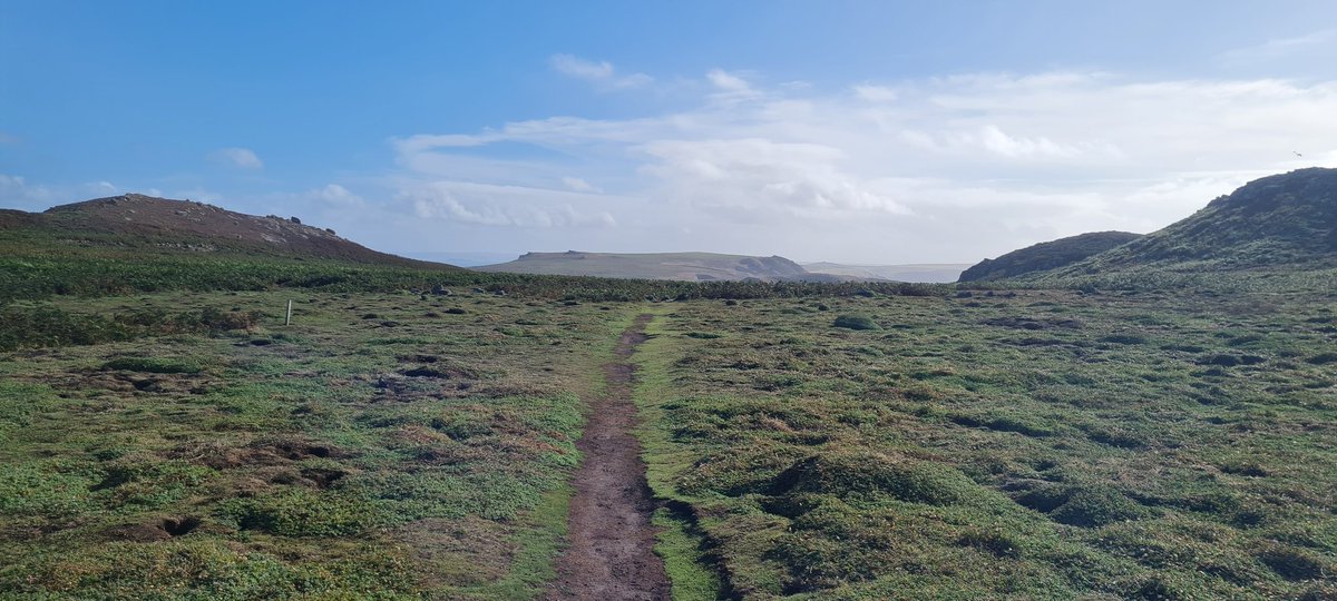 Had an absolutely amazing week on <a href="/skomer_island/">Skomer Island</a> for #youngbirdersweek Reunited with the Calf team and some amazing wildlife including thousands of manxies and a first for me, an ocean sunfish!