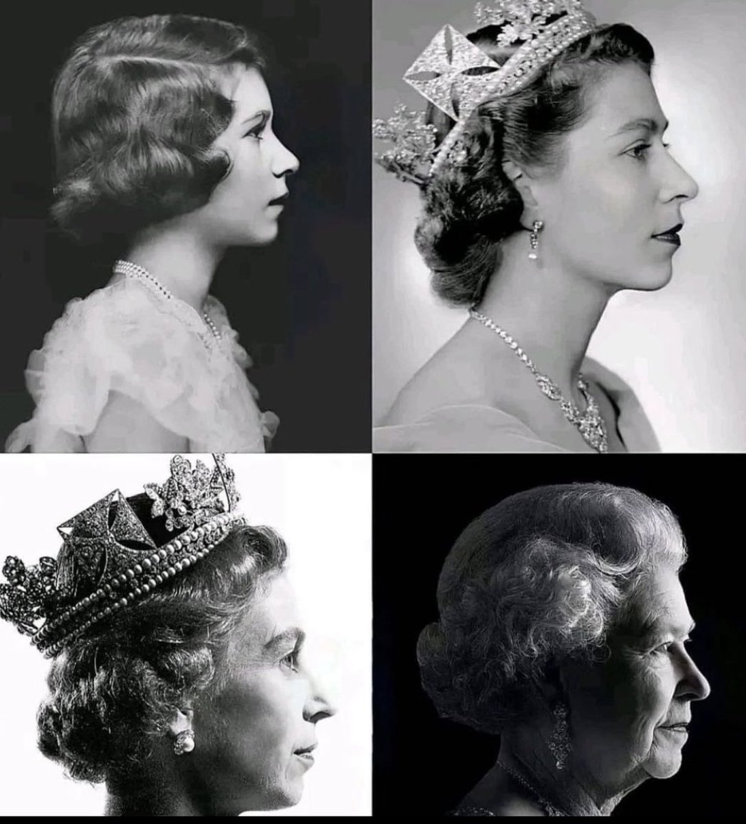 danielle🌿 tweet media