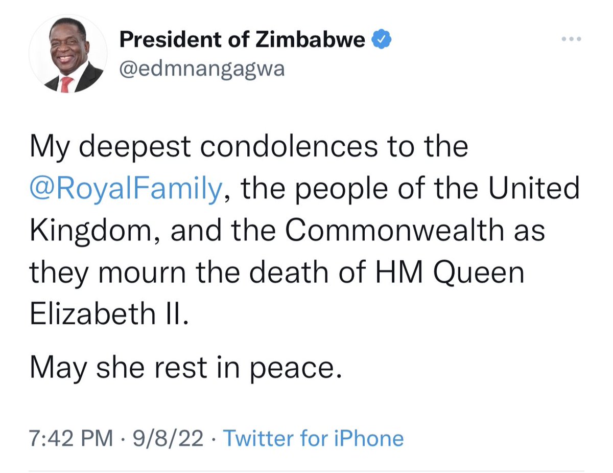 Hopewell Chin’ono tweet media