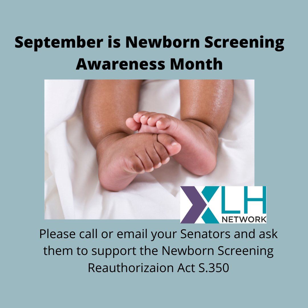 The XLH Network, Inc. tweet media