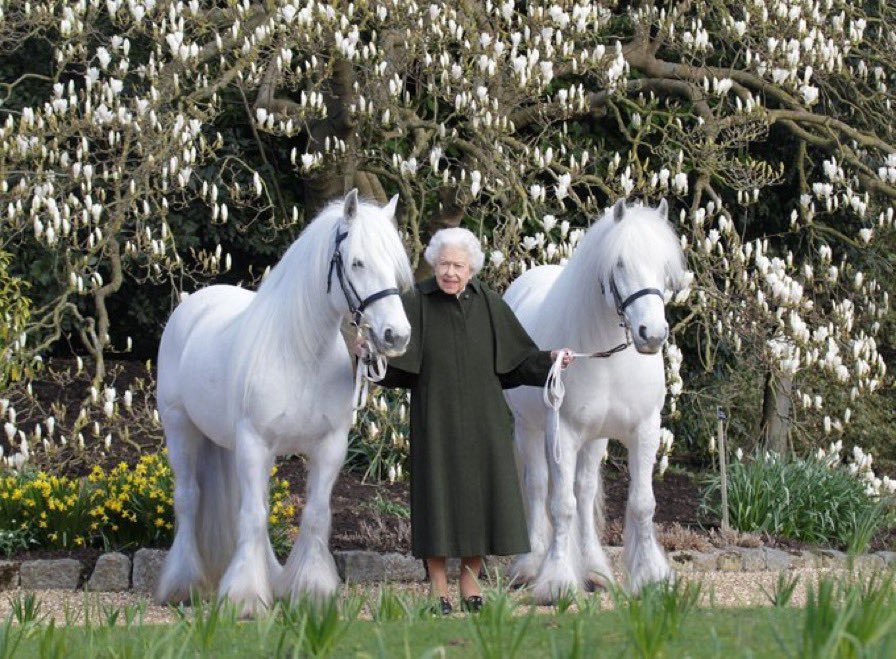 We join the nation in mourning the loss of Her Majesty the Queen. Her unwavering service to the nation will never be forgotten.