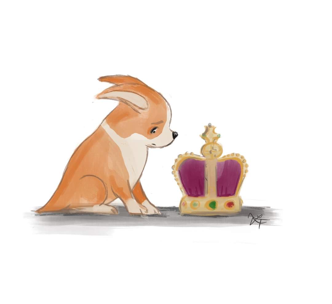 🧡 Mikki 🐝💙 tweet media