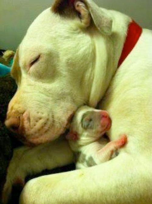 La imagen más tierna y hermosa
que verás hoy 🥹