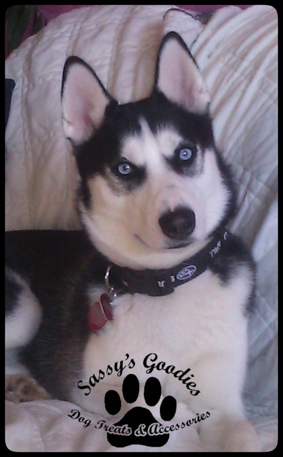 Sassy's Goodies, LLC tweet media