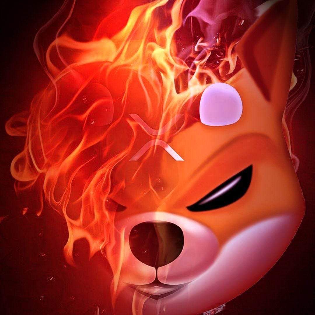 Soon regular burn of the circulating supply will happen with our mobile game app while you earn XRP 👀🔥 Buy now or cry later. 🔥

#ShibaNFT is here for the long haul 🔥
#utilitiesforthewins

Retweeit if you believe 🔥

#Cryptocurency #xrpbags #CryptoNews #P2EGame #p2e #Bullish