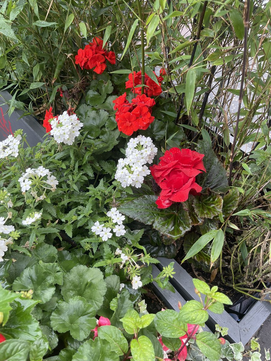 To everyone who has lost a mammy and a granny, especially today, the Queen’s death will trigger that sadness and will make us reflect on the pain of our own loved ones who we miss today.