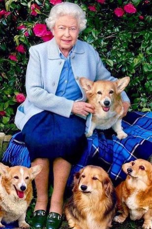 Her corgis must be so sad. 💔
