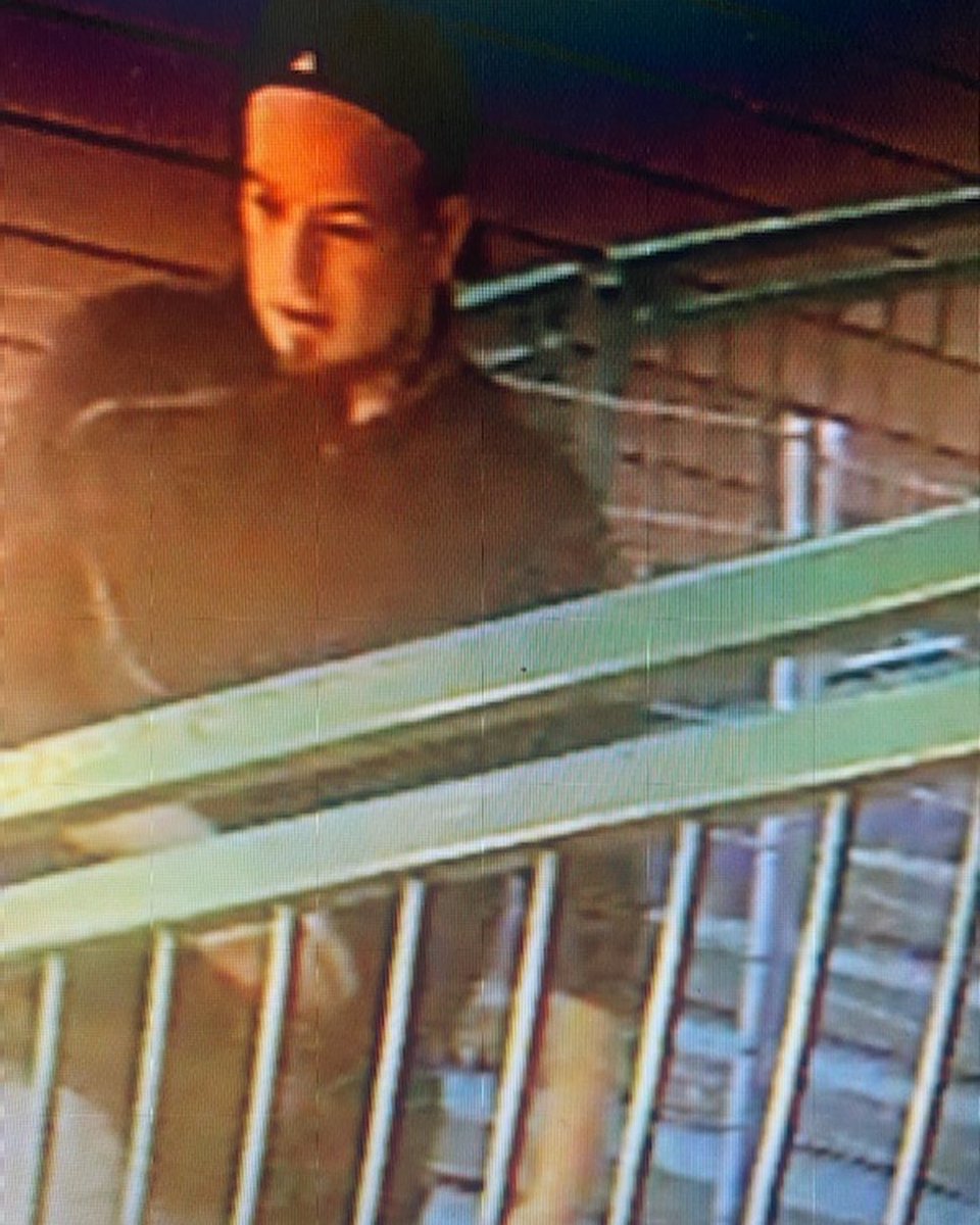 Anyone recognize these fine members of society? They helped themselves to some chairs, a table, an umbrella, and a few others things from our patio in the early hours of September 5th. Any help identifying them would be greatly appreciated! All we ask for is our property back.