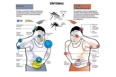 mayedps's tweet photo. Sin mosquito no hay dengue, tu apoyo cuenta, puedes evitar la enfermedad. #CubaPorLaVida #Cuba #SanctiSpíritus @saludsspiritus @AvellaRivero @SanctiSpiritus1 https://t.co/0UHfXqIizG