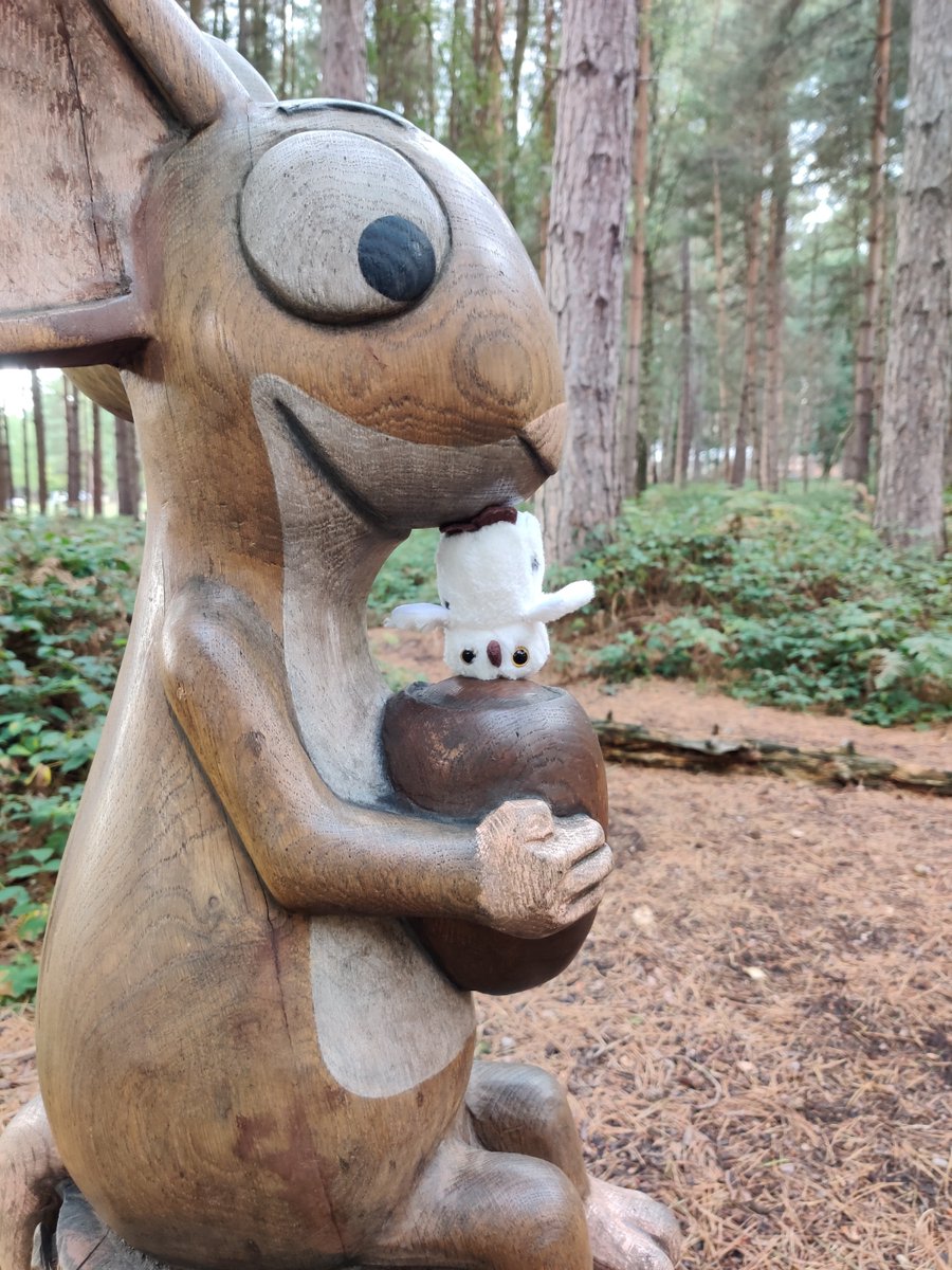 BuboAndFriends's tweet photo. What's goin' on?? #sherwoodpines #hiking #castlewalk https://t.co/19e5V17bvI