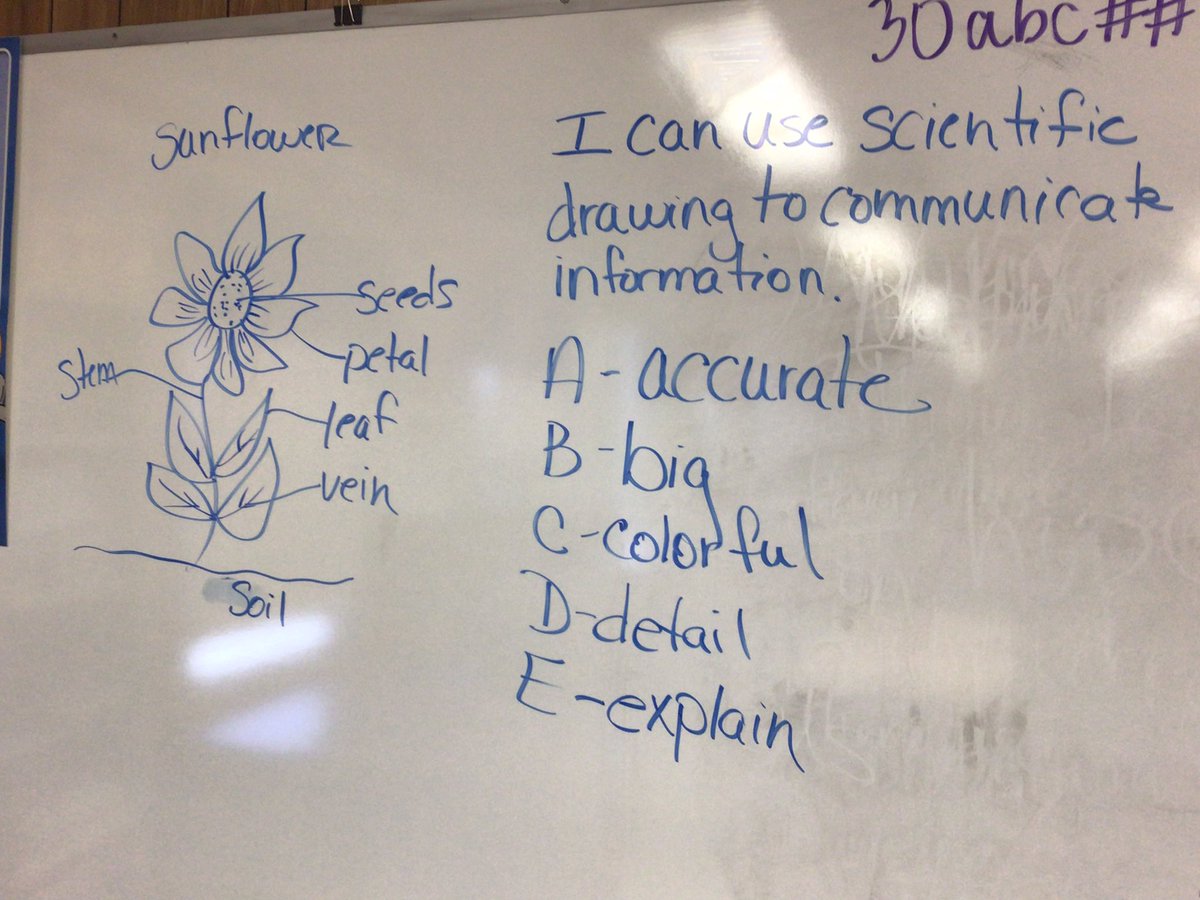 Stacy Robison tweet media