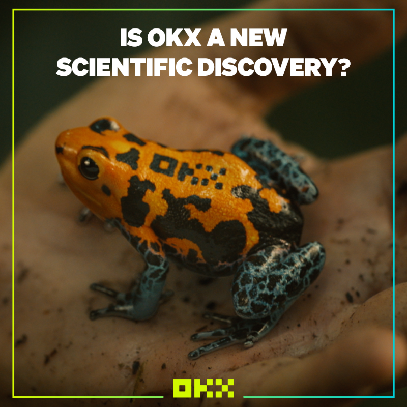 okx's tweet photo. 🗣️ ICYMI: #WhatIsOKX? 

OKX is crypto's best kept secret &amp; your new favourite #crypto trading app 📲 ↓