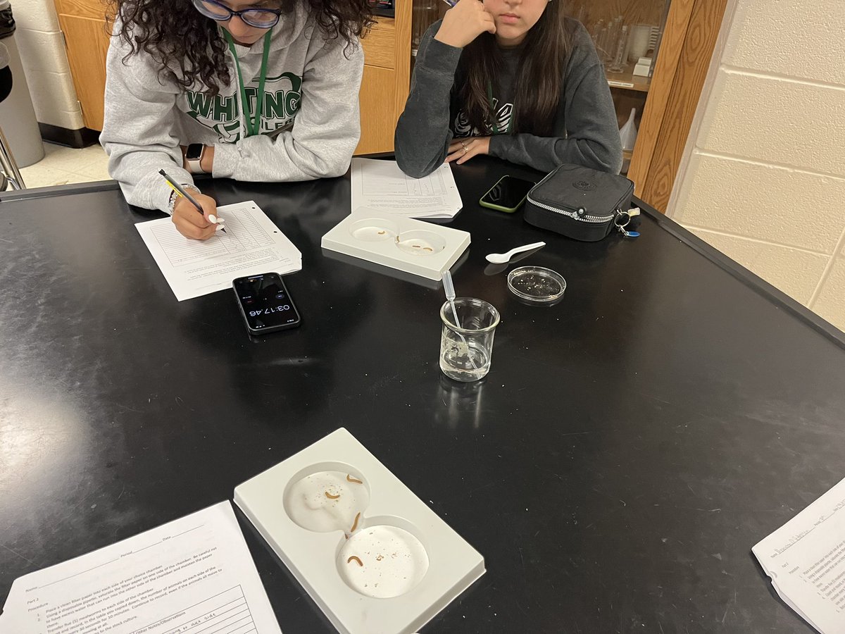 WhitingSoftball's tweet photo. Busy day in room 110! #APBio creating and modifying cells; #Bio1 analyzing mealworm behavior; and #APES using the street and faculty parking lot to analyze biodiversity in two communities! @WHSOilers @WhitingOilers https://t.co/dSTLGfbZ6g