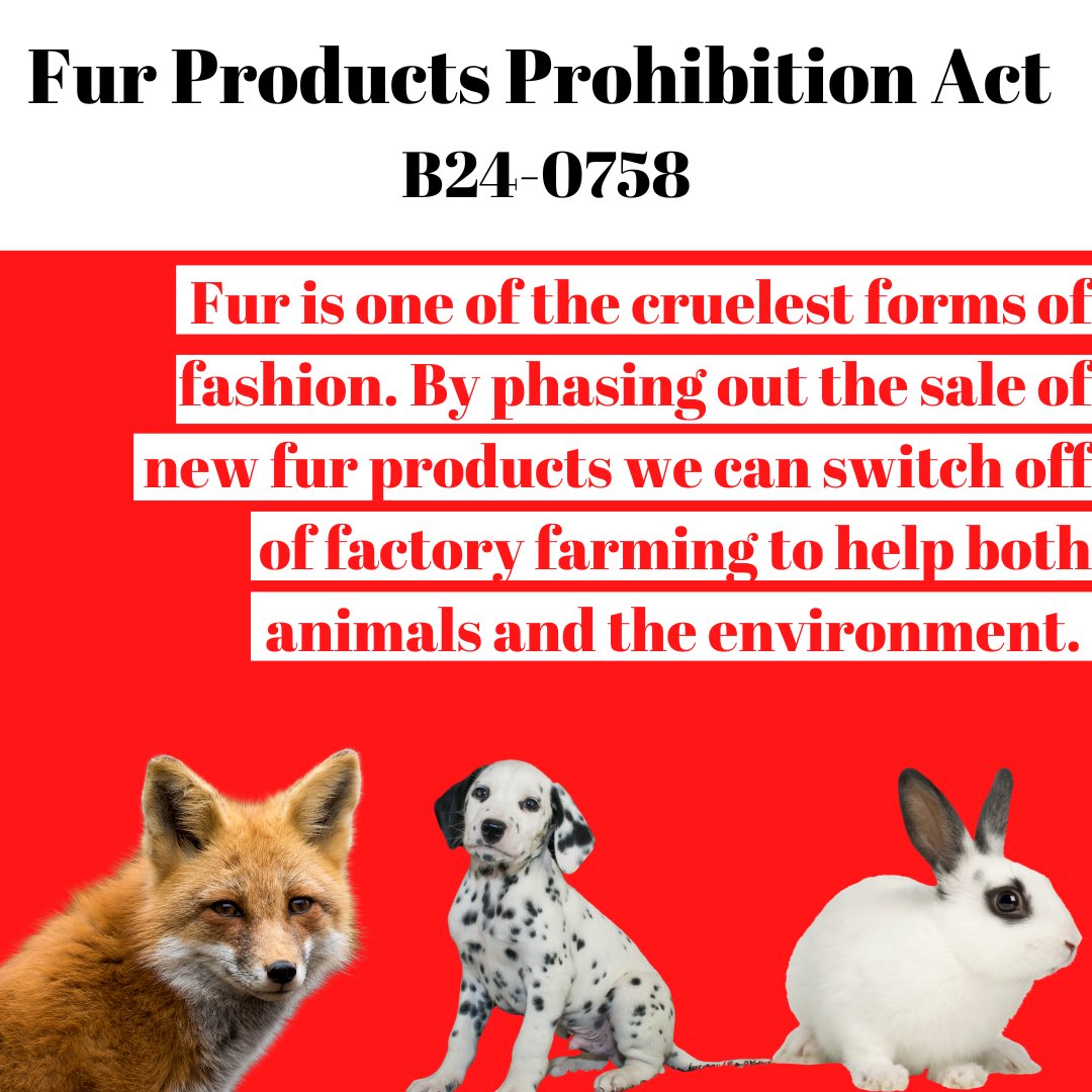 DCV4A's tweet photo. We can change SO MANY animals’ lives by passing laws in DC. These are our policy priorities; which one is your favorite: 1, 2, 3, or 4? https://t.co/7meUhj3r7g