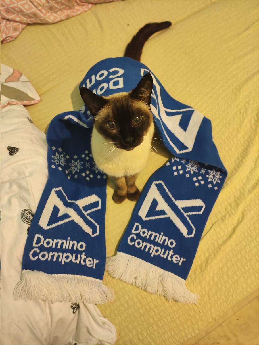 SixiNeri's tweet photo. Kibicowała i @DominoComputer wygrało! #fannumberone https://t.co/VKYtdOwokV