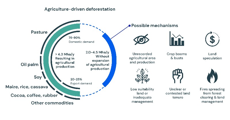 globalforests's tweet photo. The links between agriculture and #deforestion are complicated, but leading experts (including those from GFW) lay out all the complexities in a new study in @ScienceMagazine.  

What did they learn? Agriculture drives more tropical deforestation than previously cited.