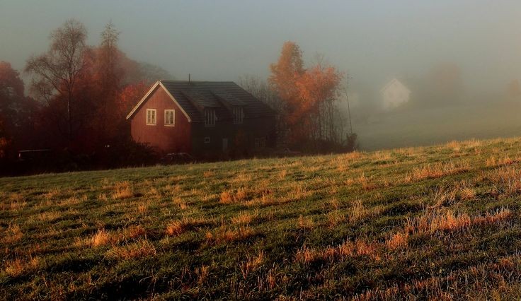 AcademiaDreams's tweet photo. Autumn landscape 🍁 https://t.co/z1Tbaoqy2s