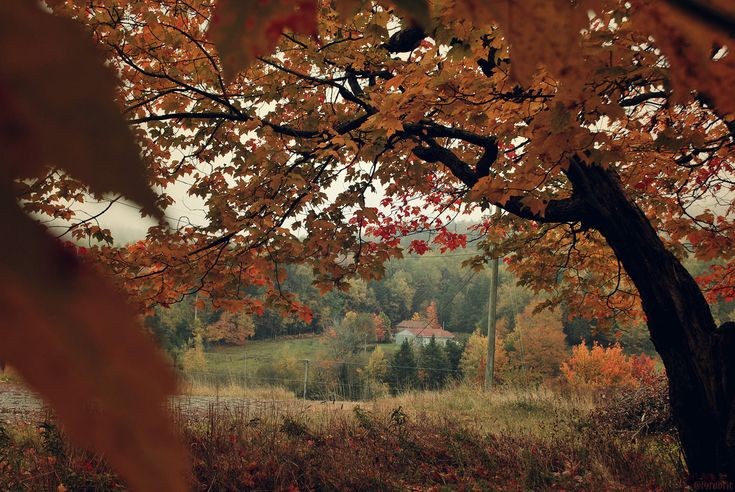 AcademiaDreams's tweet photo. Autumn landscape 🍁 https://t.co/z1Tbaoqy2s