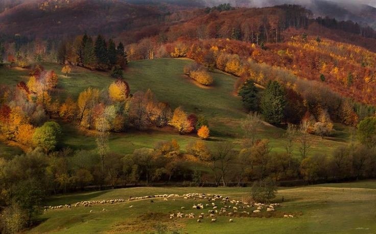 AcademiaDreams's tweet photo. Autumn landscape 🍁 https://t.co/z1Tbaoqy2s