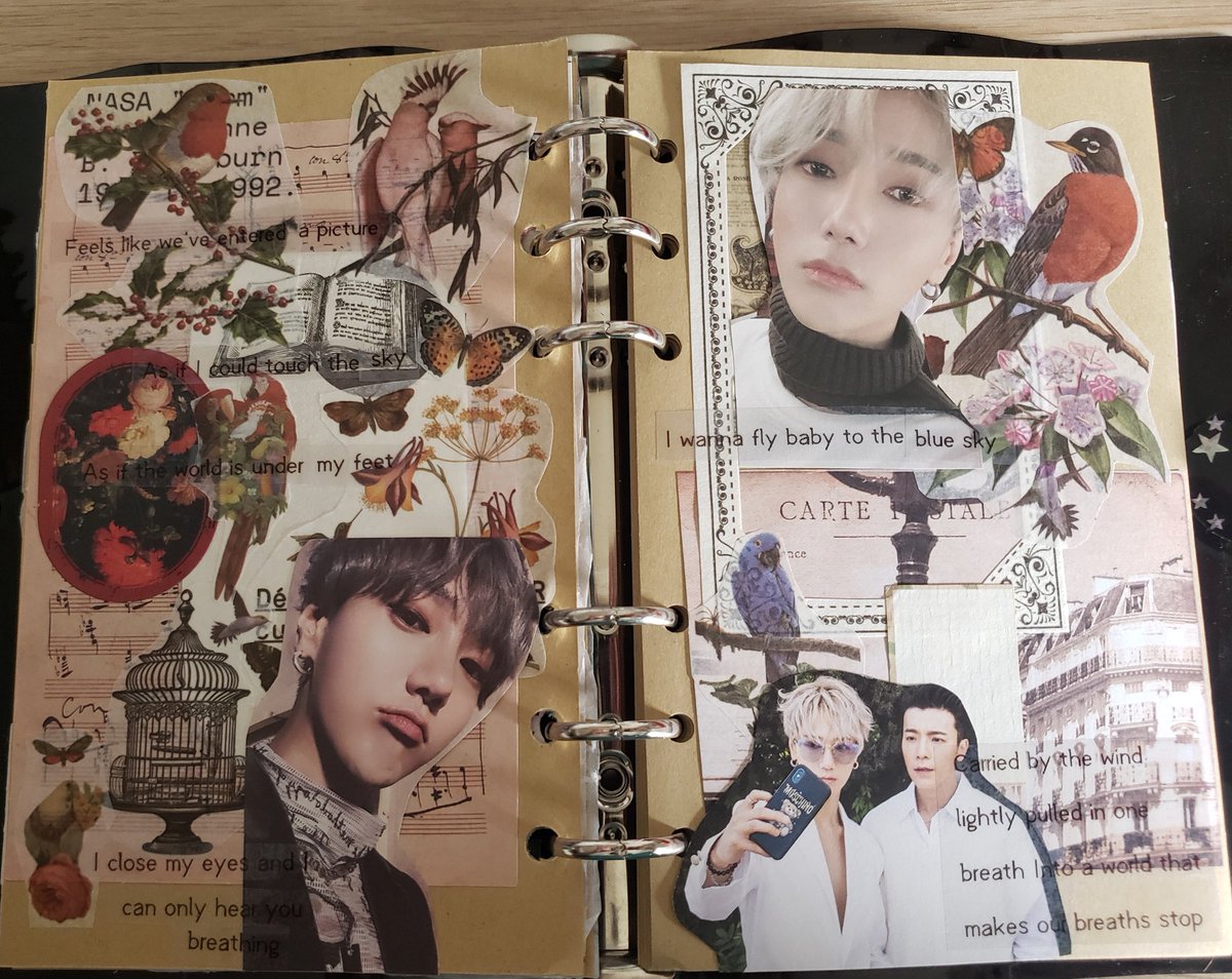 Micki. 💙 HUGE Super Junior Fan💙 tweet media