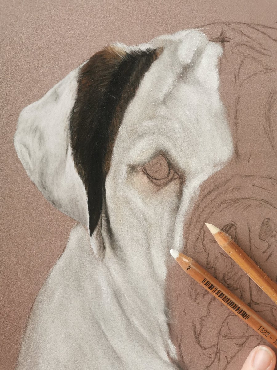 King28Sarah's tweet photo. Just incase you forgot I do art 🎨🤪 heres my current wip.. 

#art #pastels #pets #dogart #drawing #pencil #softpastel #wip #workinprogess #dogportrait #artist #panpastel #animalart https://t.co/1mkPtId6UO