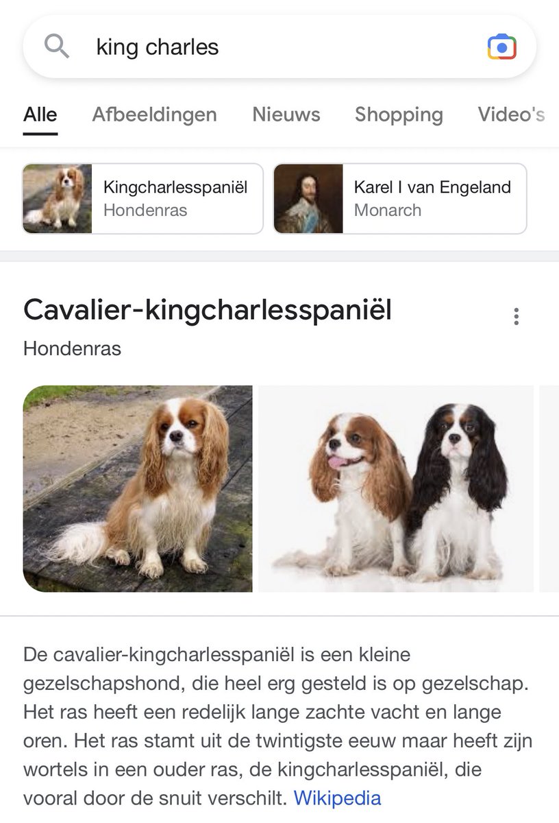 TvanGroningen's tweet photo. Hoe lang zal dit op Google het bovenste resultaat blijven bij de zoekterm ‘King Charles’? https://t.co/a6lJvGHigt