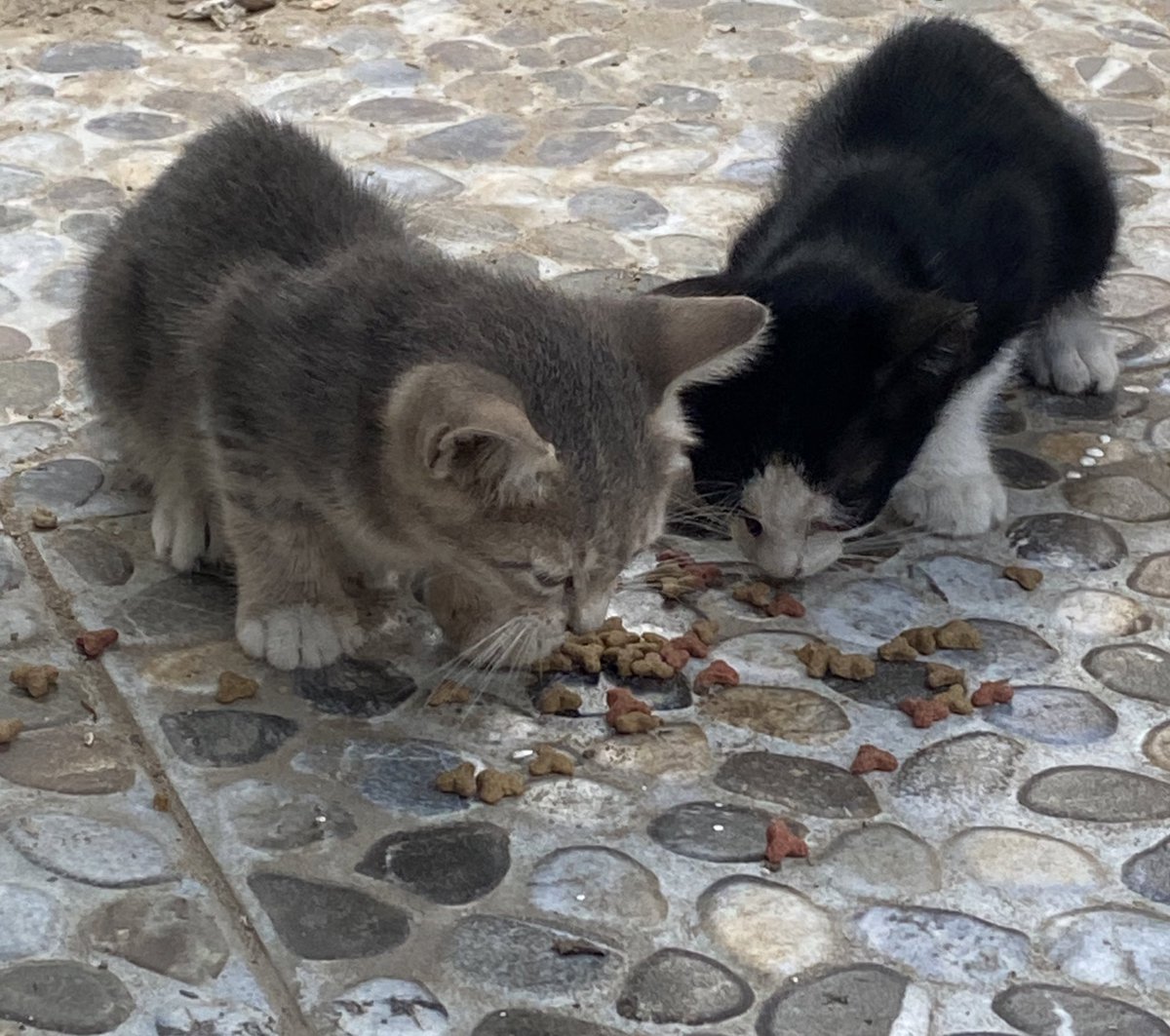 🥹🥹🥹🥹🥹🥹🥹