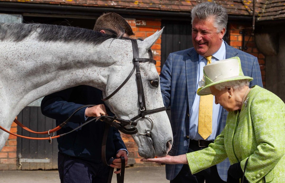 PFNicholls's tweet photo. What a memorable day in march 2019 when Her Majesty the Queen visited the yard and met Clan Des Obeaux  , Politilogue , Frodon &amp; Topofthegame . A day Team Ditcheat will never forget . RIP Ma’am 💔🥲 https://t.co/14ns1lklpB