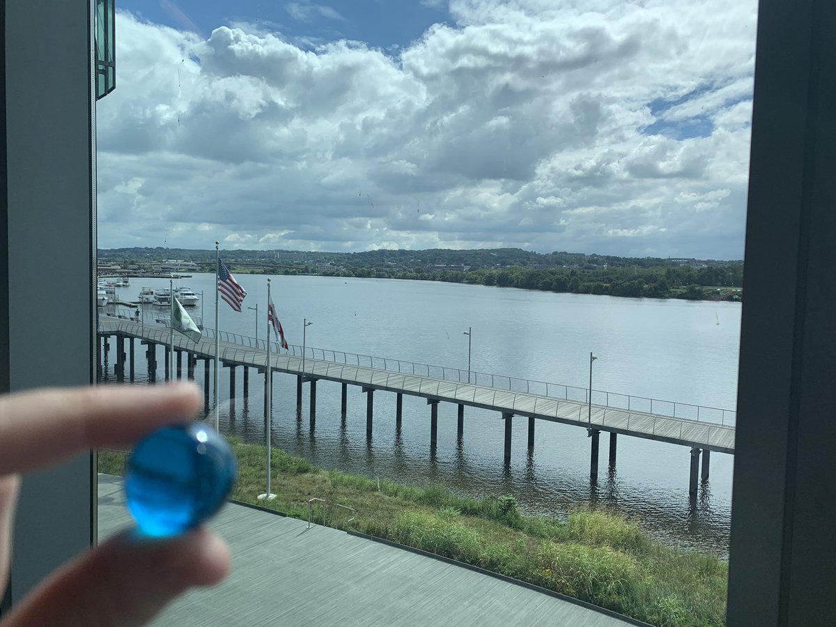 Molly Mitzner tweet media