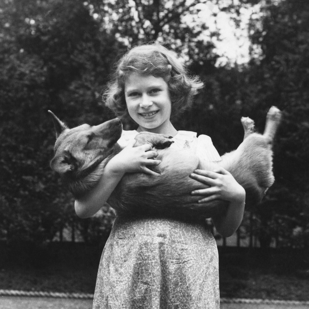 The Times Pictures tweet media